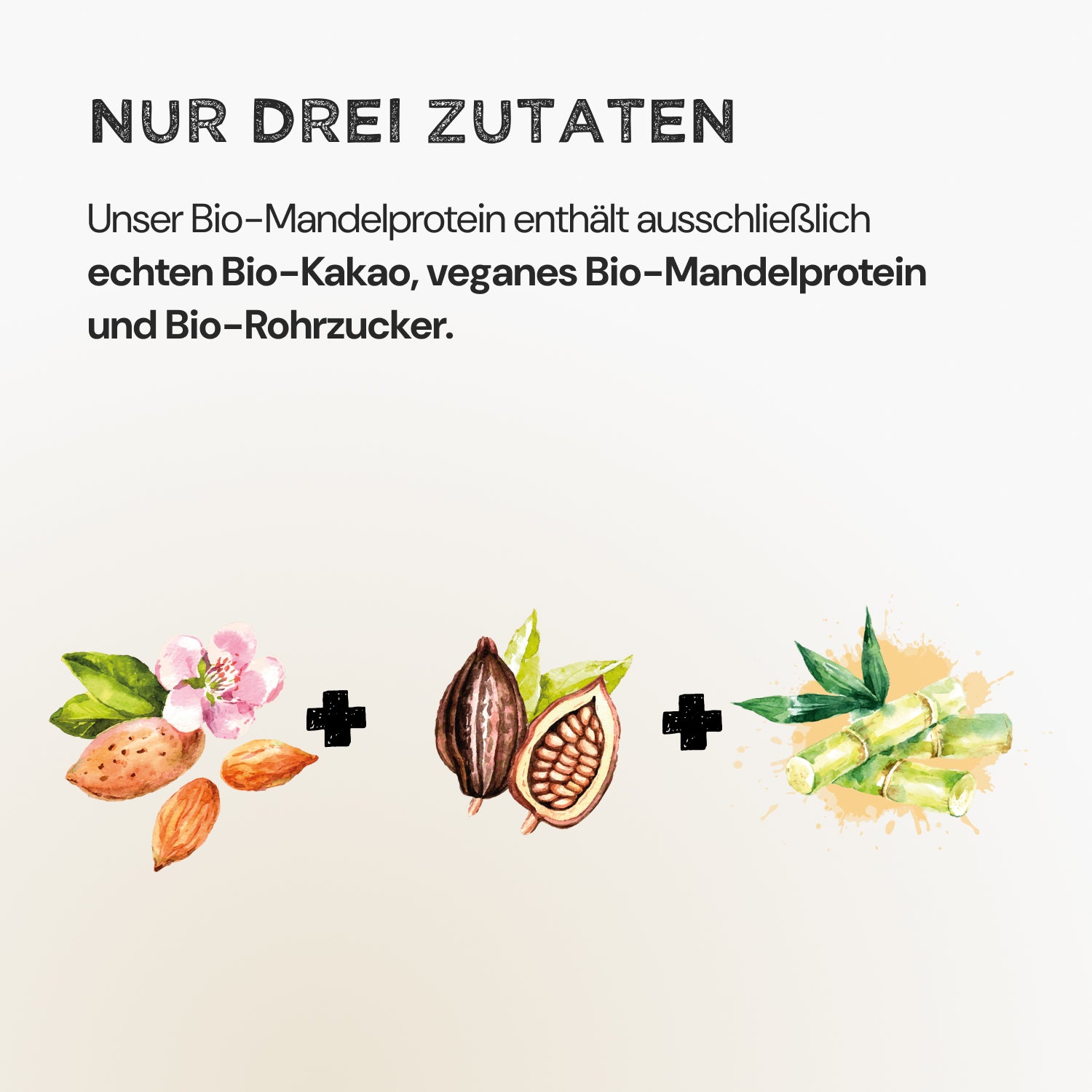 Almond Protein - Cacao