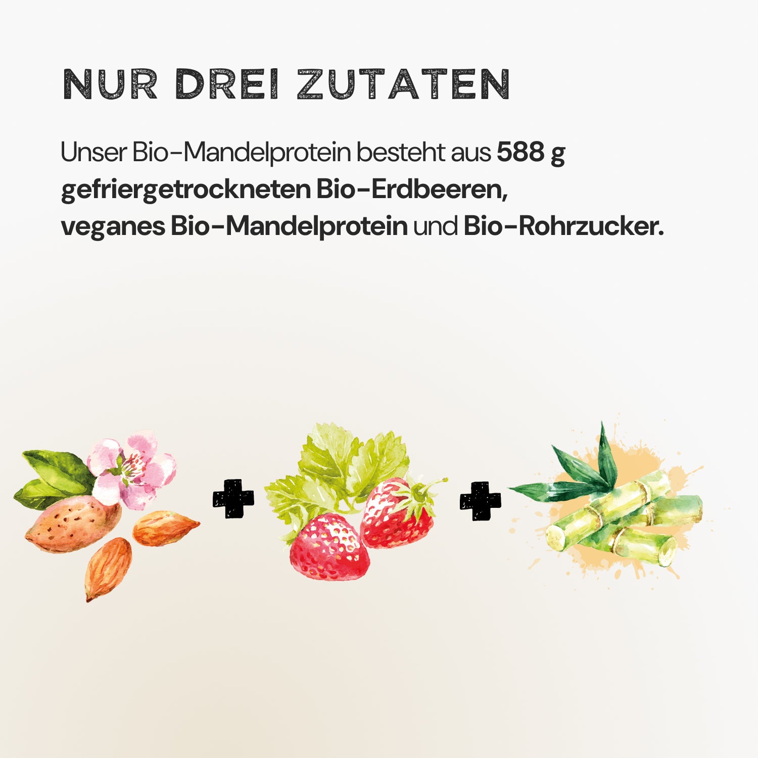 Almond Protein - Strawberry - Harvest Republic