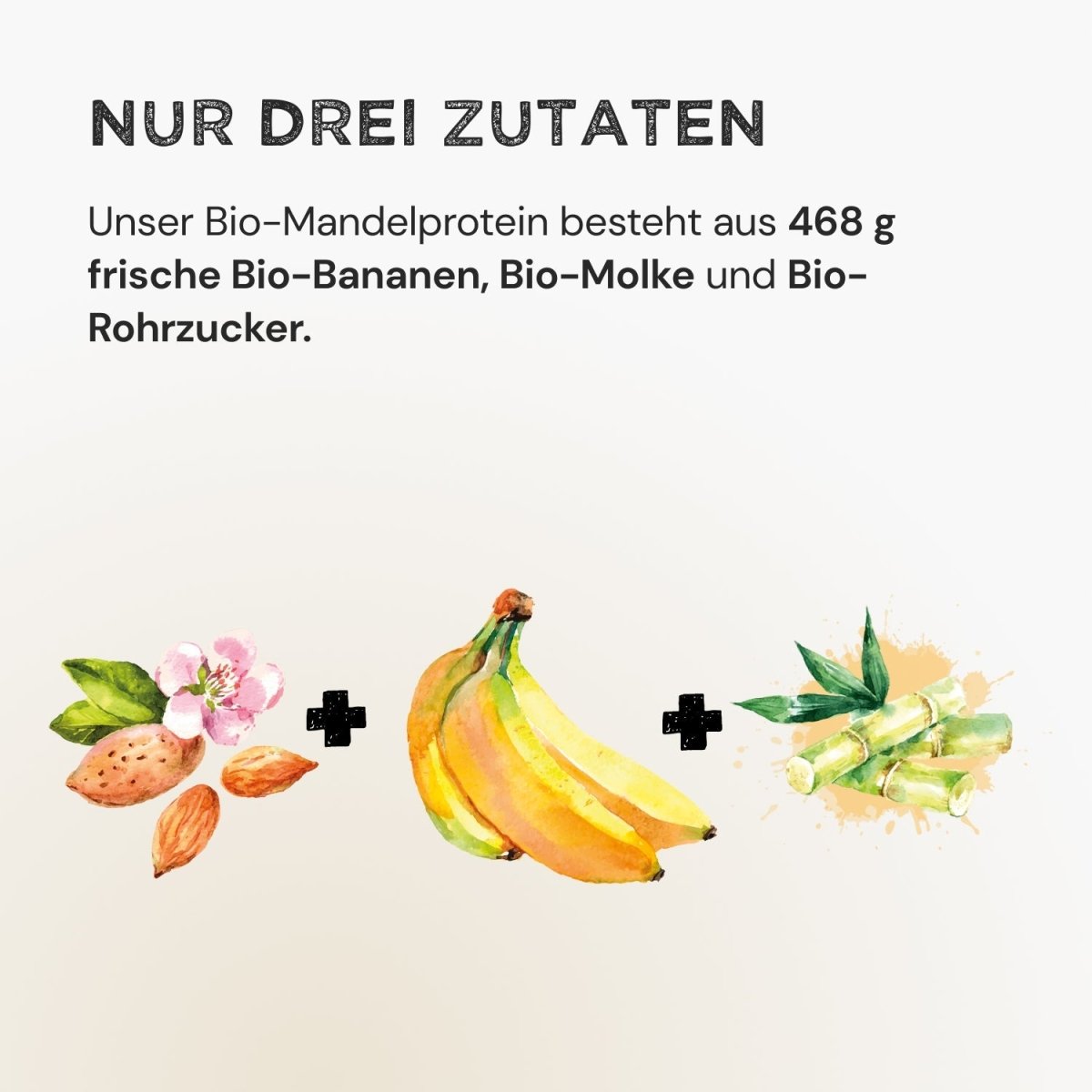 Almond Protein - Banana - Harvest Republic