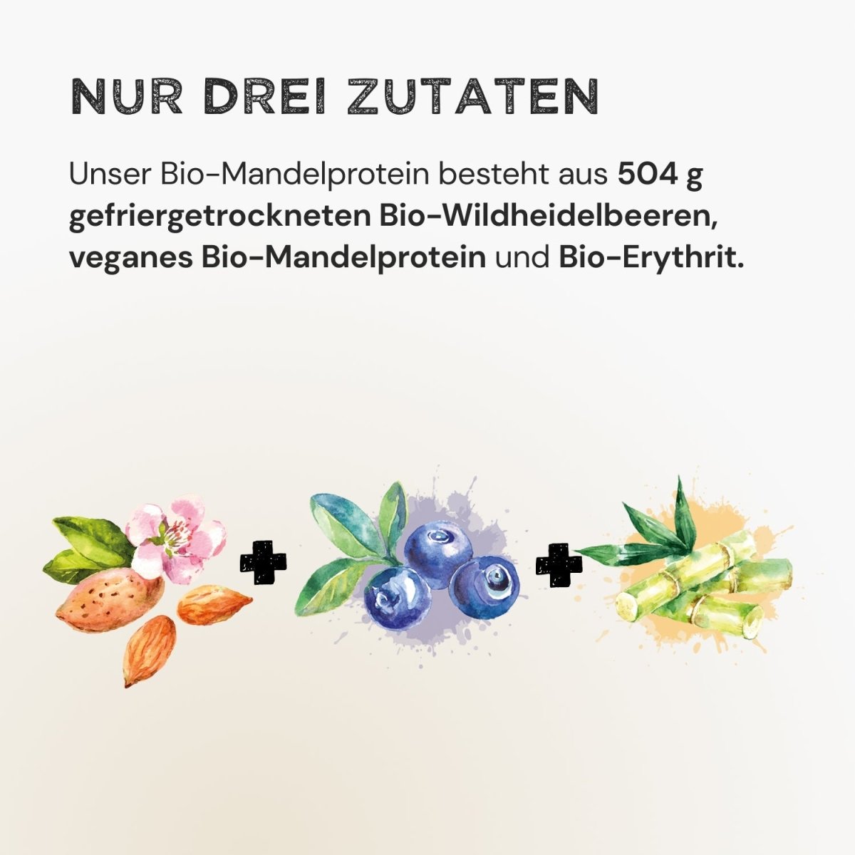 Almond Protein - Wild Blueberry - Harvest Republic