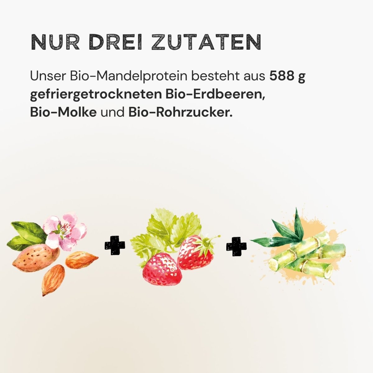 Almond Protein - Strawberry - Harvest Republic