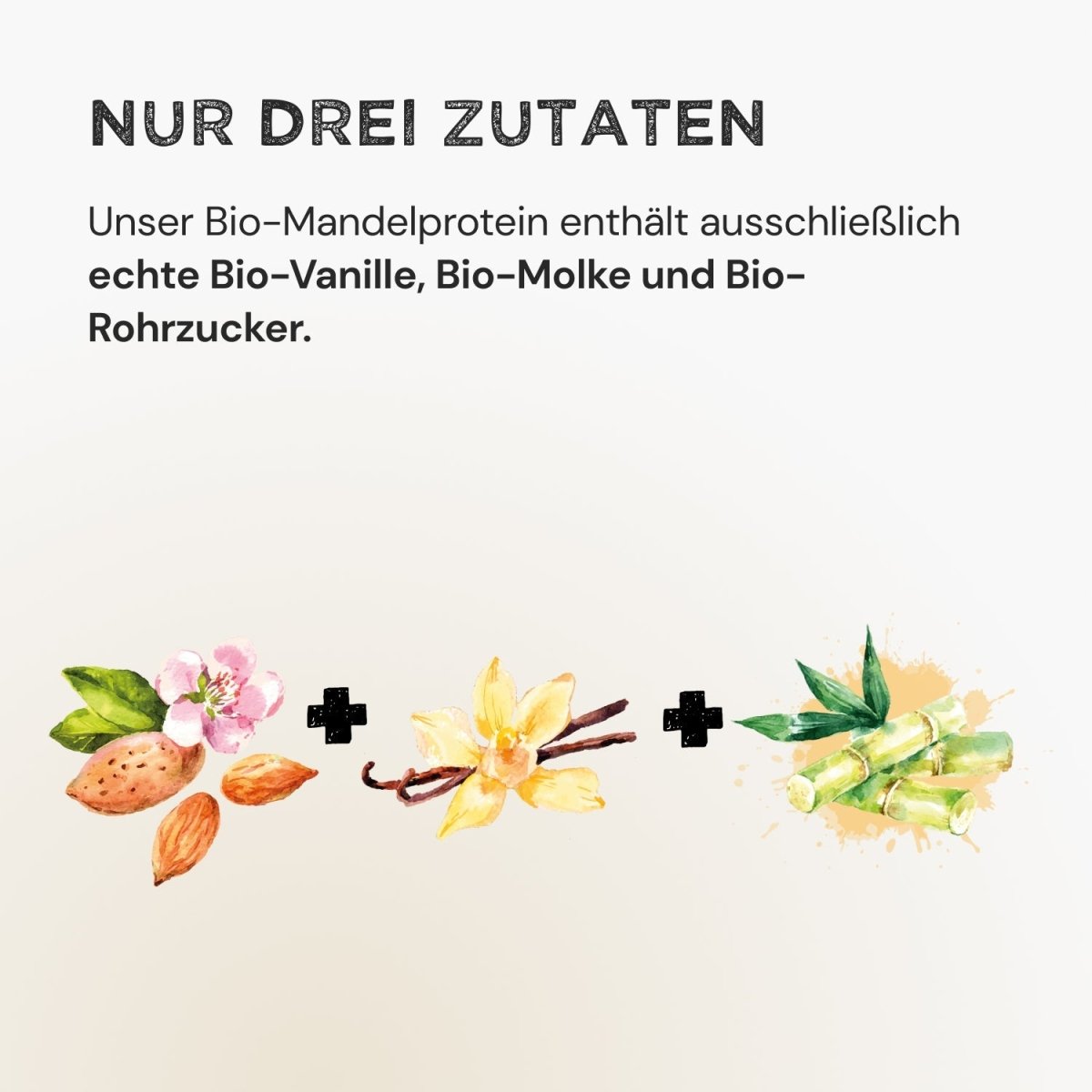 Almond Protein - Vanilla - Harvest Republic