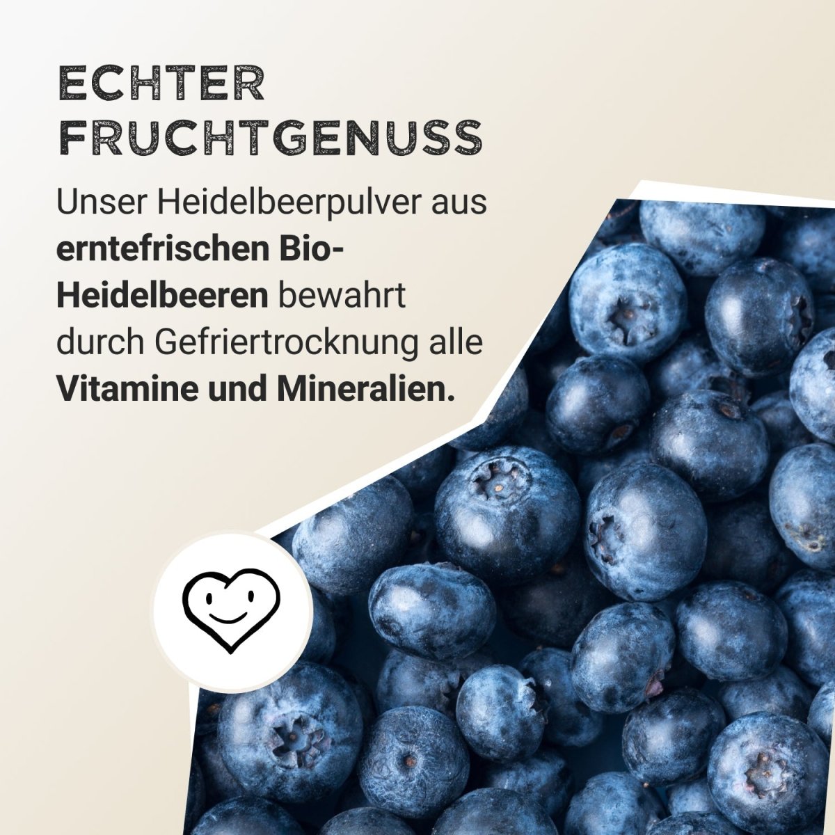 Fruit Powder - Wild Blueberry - Harvest Republic