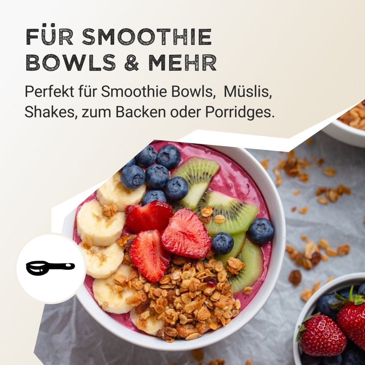 Fruit Powder - Wild Blueberry - Harvest Republic