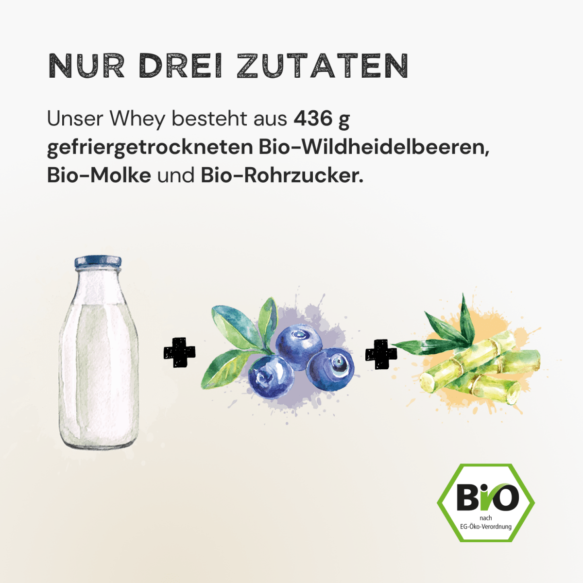 Whey Protein - Wild Blueberry - Harvest Republic