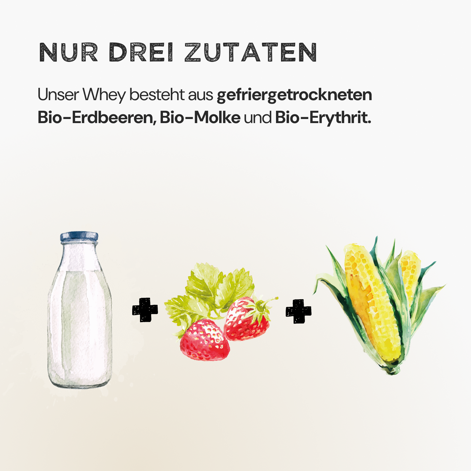 Strawberry Sunrise (No Added Sugar) Bundle - Harvest Republic