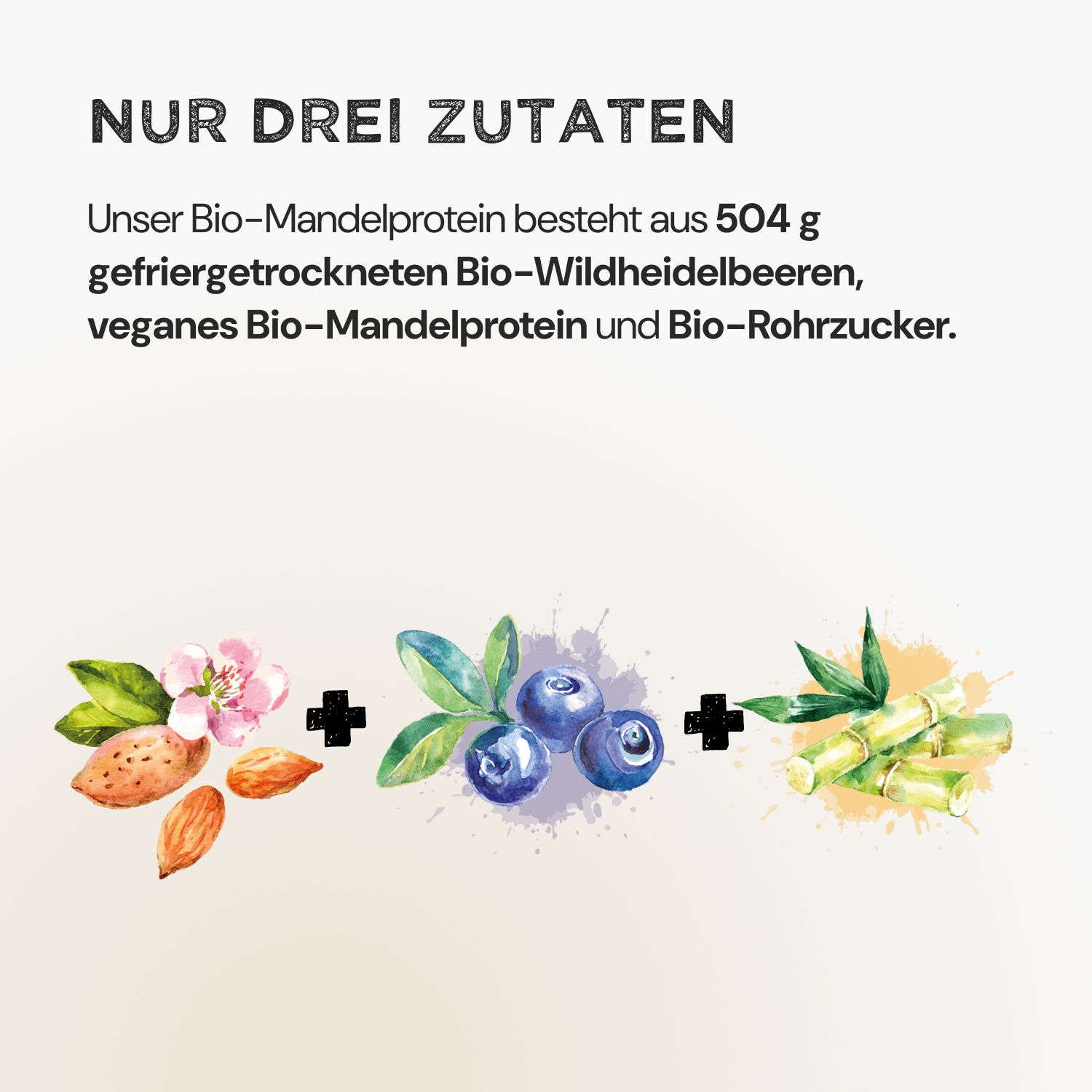 Almond Protein - Wild Blueberry - Harvest Republic