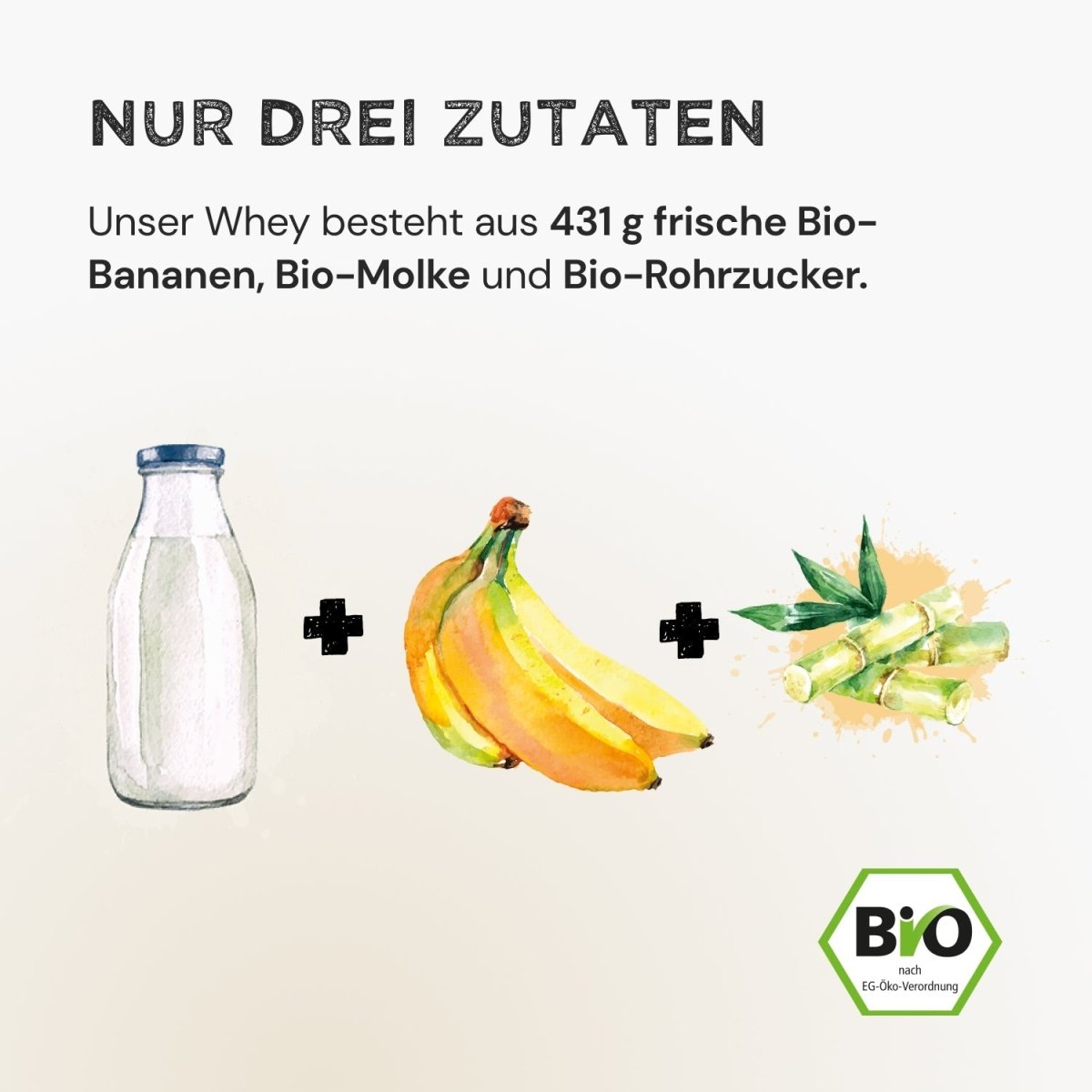 Whey Protein - Banana - Harvest Republic