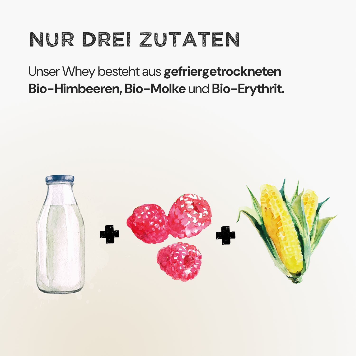 Raspberry Whey Quiri (No Added Sugar) Bundle - Harvest Republic