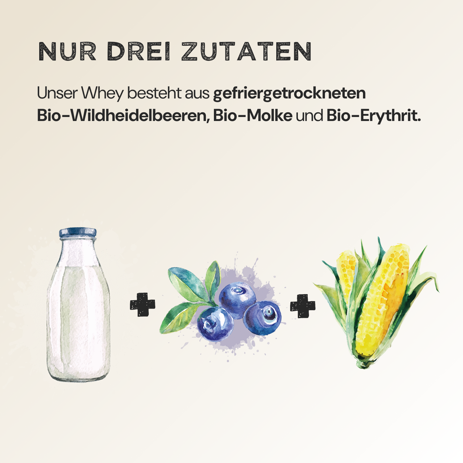 Blueberry Splash (No Added Sugar) Bundle - Harvest Republic