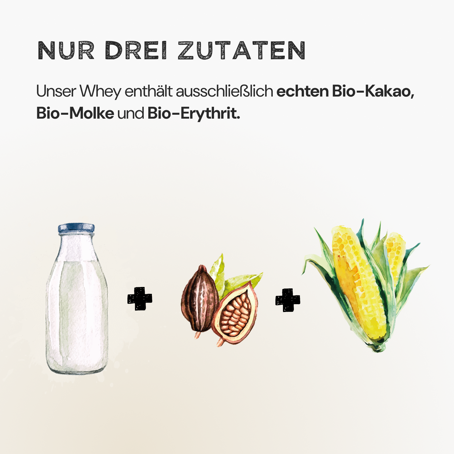 Cacao me up (No Added Sugar) Bundle - Harvest Republic